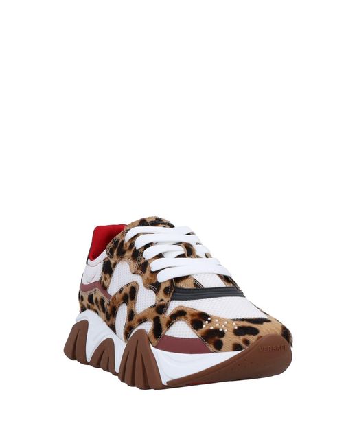 Versace Brown Trainers for men