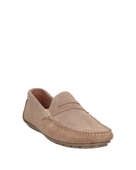 Roberto Botticelli Brown Loafers for men