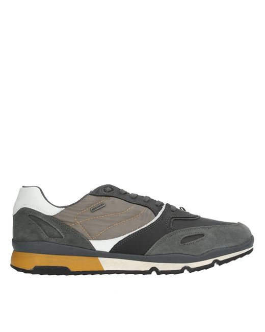 Geox Gray Low-tops & Sneakers for men