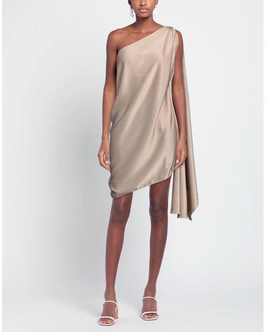 Stephan Janson Natural Mini Dress Polyester