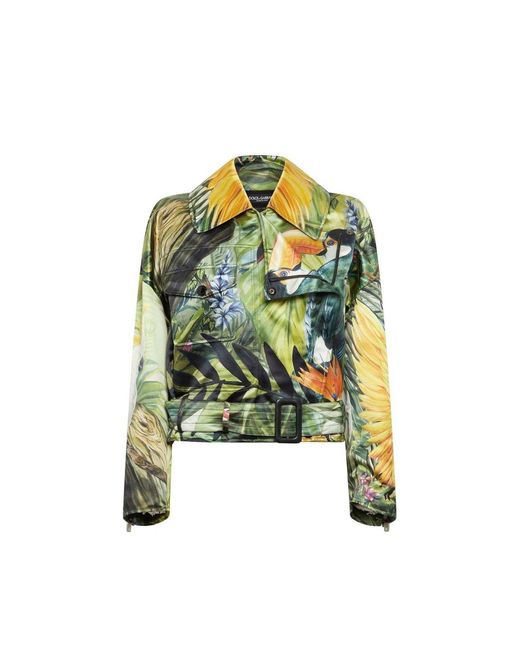 Veste et Blouson Dolce & Gabbana en coloris Green