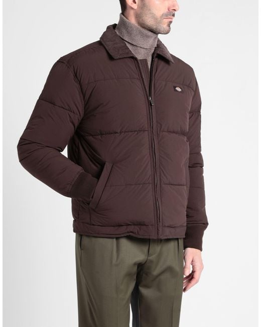 Dickies Brown Puffer for men