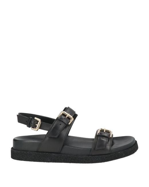 Guglielmo Rotta Black Sandals