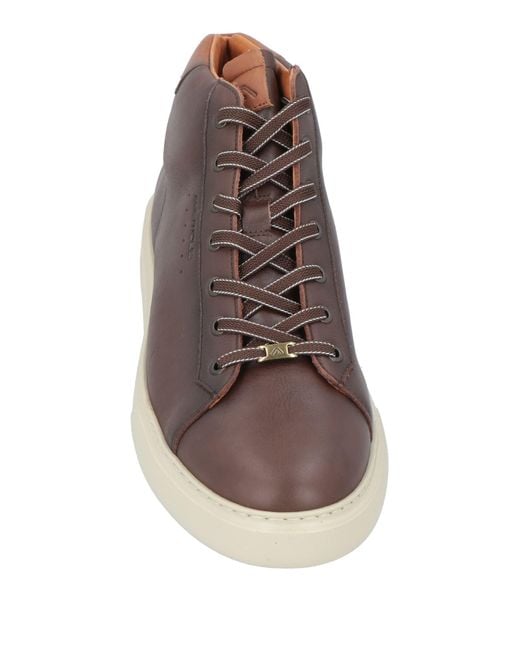 Ambitious Brown Sneakers Leather for men