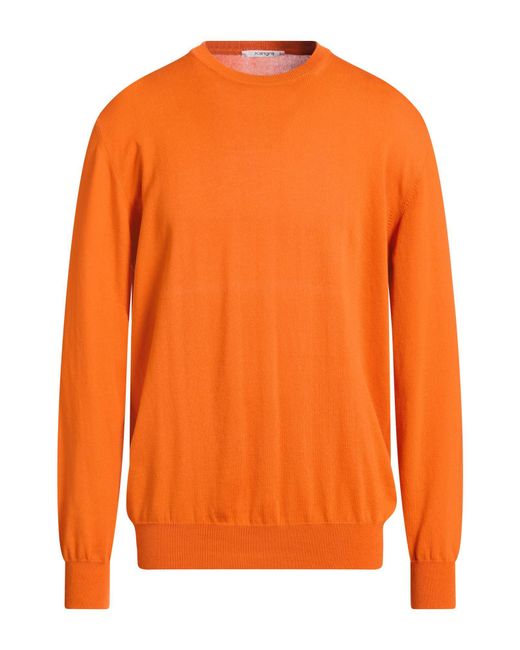 Kangra Orange Sweaters for men