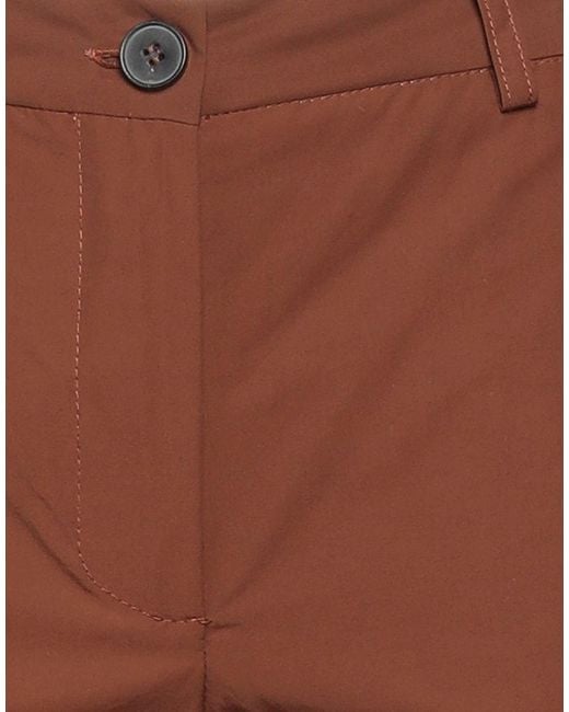 SOLOTRE Brown Trouser
