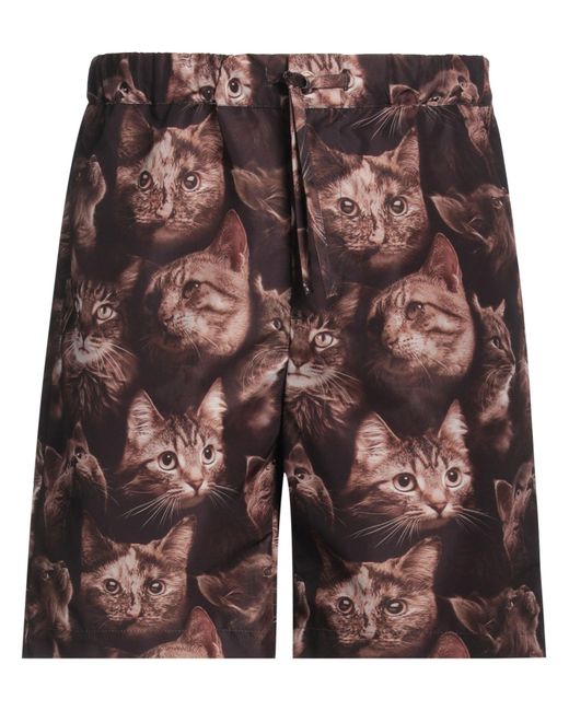 Daniele Alessandrini Brown Shorts & Bermuda Shorts for men