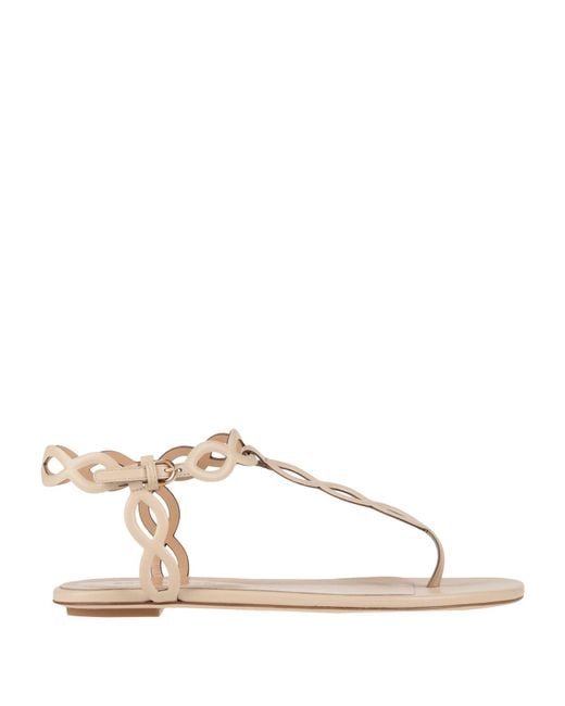 Sergio Rossi Natural Thong Sandal
