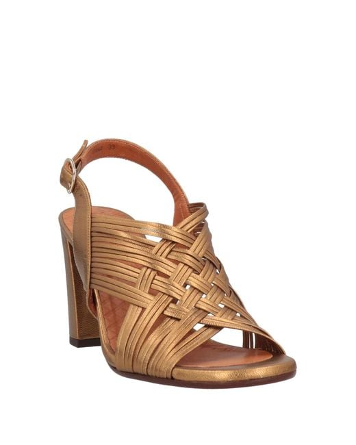 Chie Mihara Brown Sandals