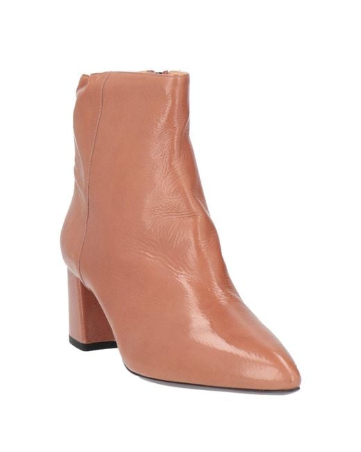 Harmont & Blaine Brown Stiefelette