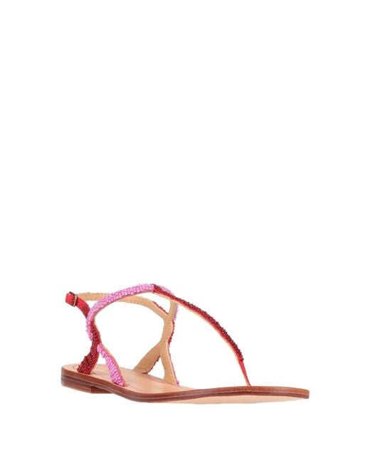 Maliparmi Pink Thong Sandal