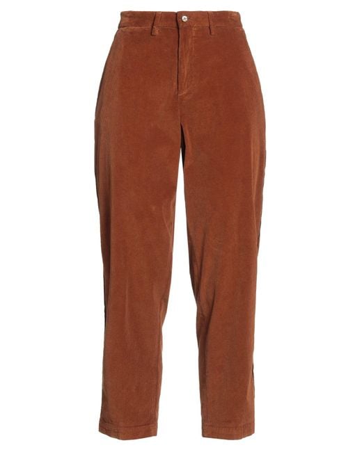 Briglia 1949 Brown Pants Cotton, Elastane