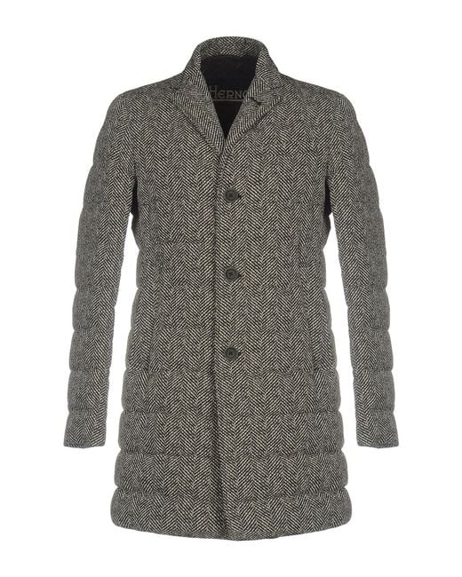 Herno Gray Puffer for men