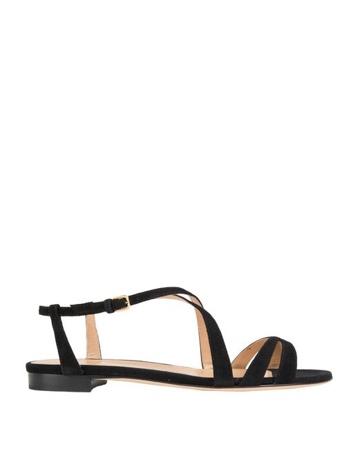 Sergio Rossi Black Sandals