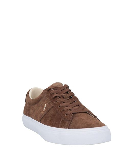 Polo Ralph Lauren Brown Trainers for men