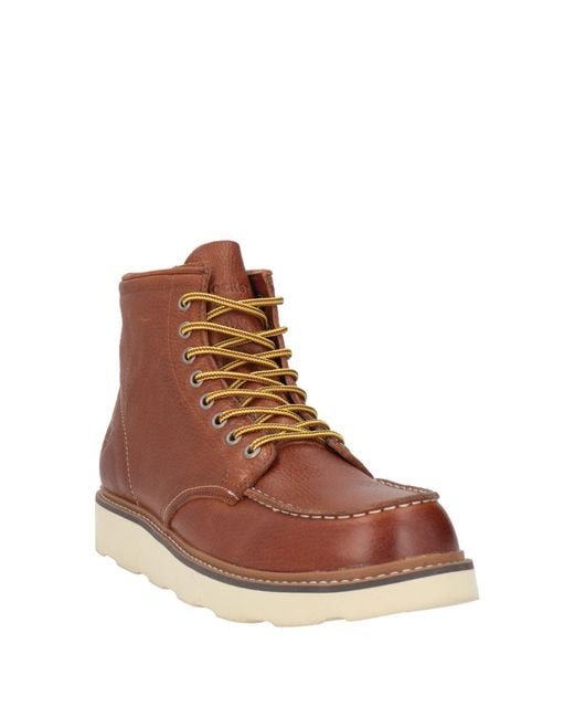 Docksteps Brown Ankle Boots for men