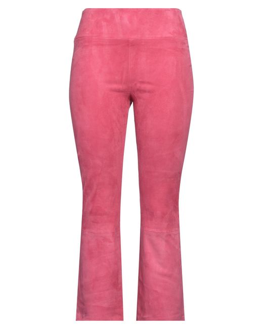 SPRWMN Pink Hose