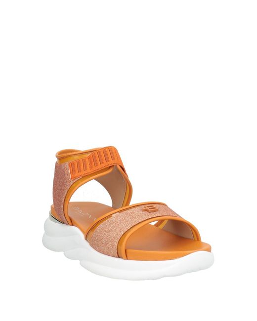 Baldinini Brown Sandals Leather, Textile Fibers, Plastic