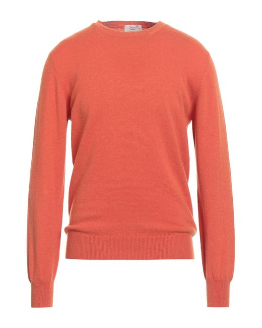 TERRAE CASHMERE Pink Sweater Cashmere for men