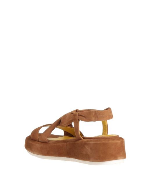 Calpierre Brown Sandale