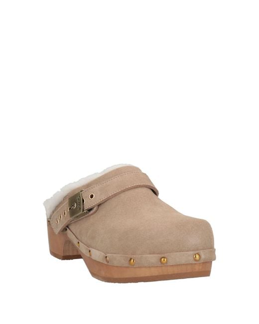 Scholl Brown Mules & Clogs