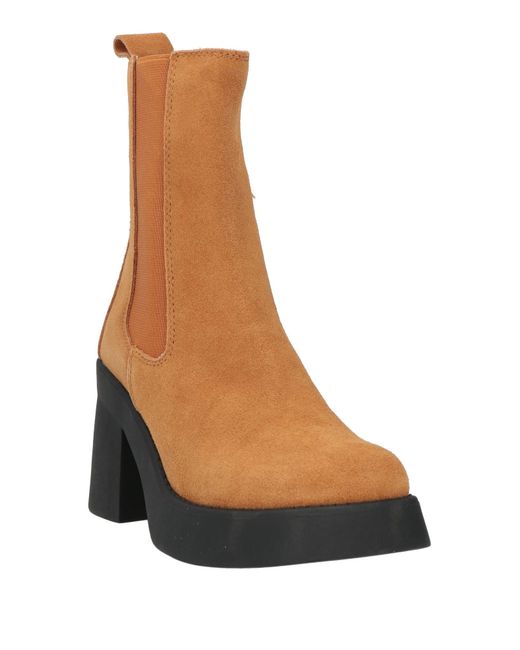Steve Madden Brown Ankle Boots