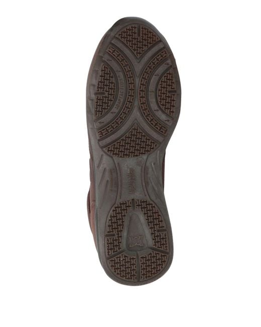 Callaghan Brown Sneakers Leather