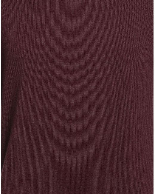 Navigare Purple Jumper for men