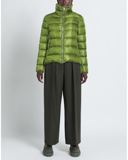 Jan Mayen Green Puffer