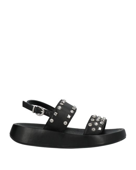 Tosca Blu Black Sandals