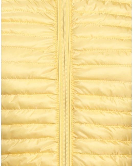 Colmar Yellow Puffer