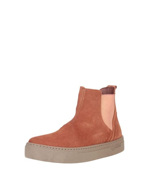 Natural World Brown Ankle Boots
