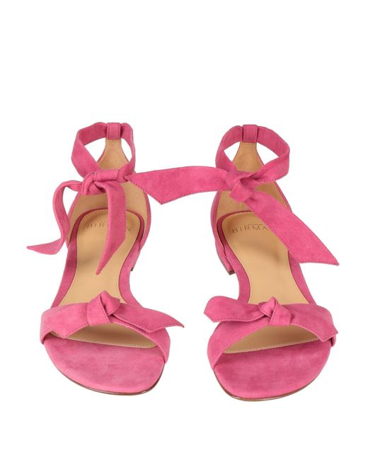 Alexandre Birman Pink Sandals