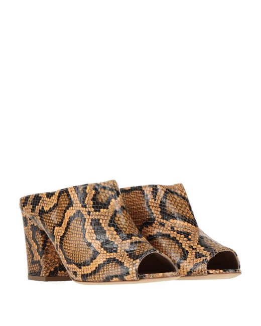 Sergio Rossi Brown Sandals