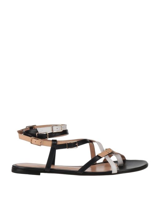 Gianvito Rossi Multicolor Thong Sandal