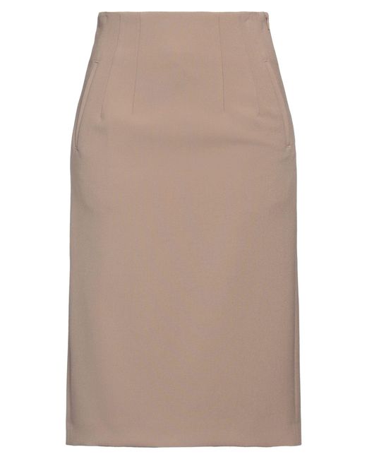 Peserico Brown Midi Skirt