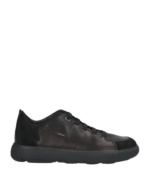 Geox Black Trainers for men