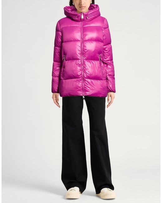 Historic Pink Puffer