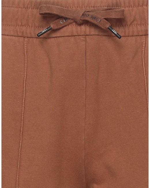 Circolo 1901 Brown Trouser