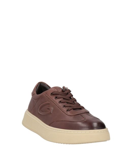 Alberto Guardiani Brown Trainers for men