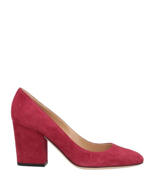 Sergio Rossi Pink Pumps