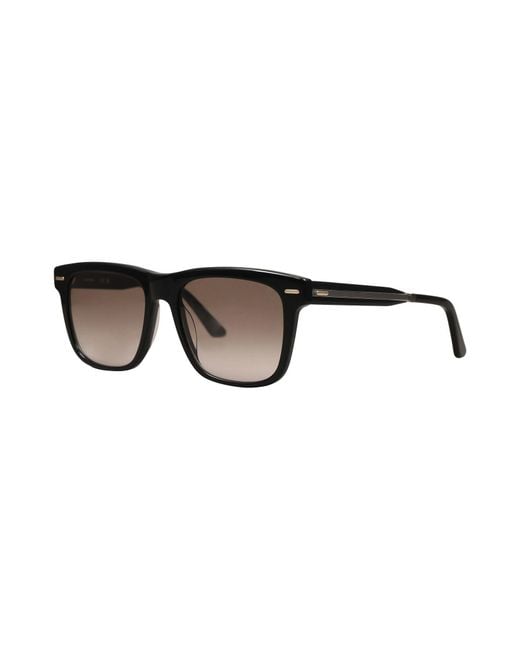 Calvin Klein Brown Sunglasses for men