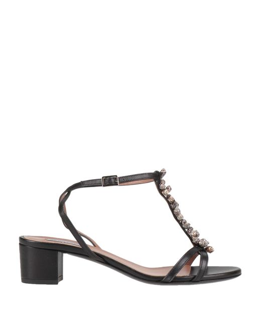 Tabitha Simmons Black Sandale