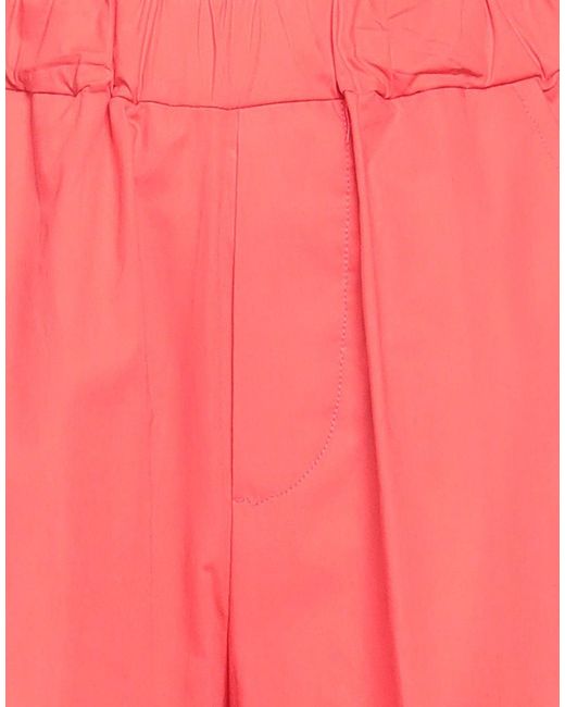 Kocca Pink Pants Cotton