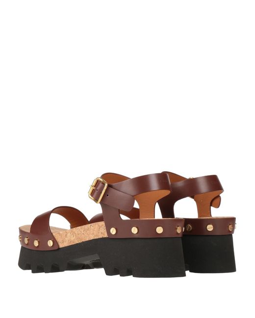Chloé Brown Sandals