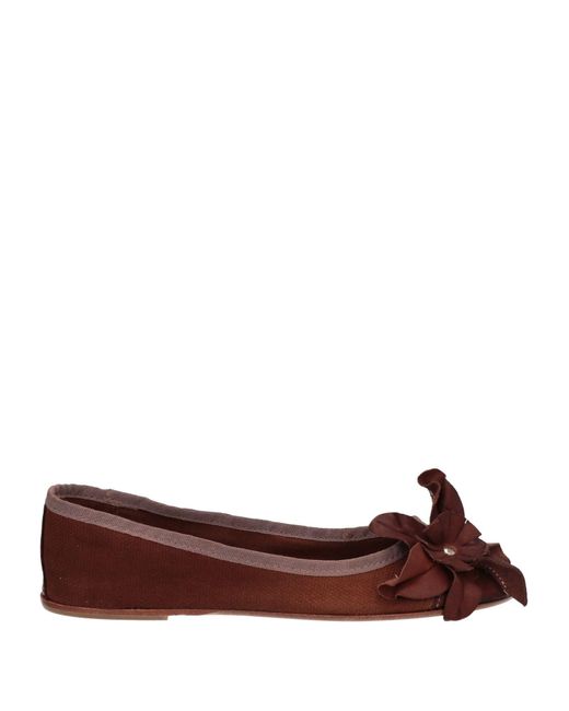 Stele Brown Ballet Flats