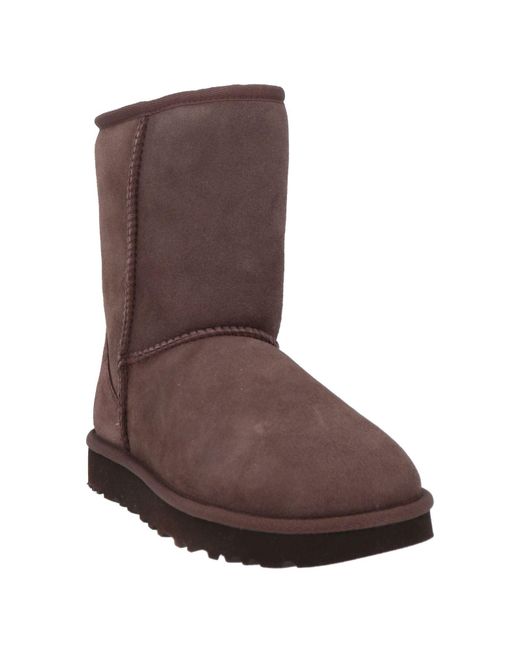 Ugg Brown Stiefelette
