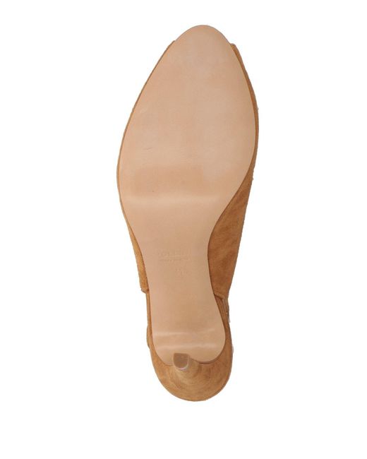 Pollini Brown Pumps