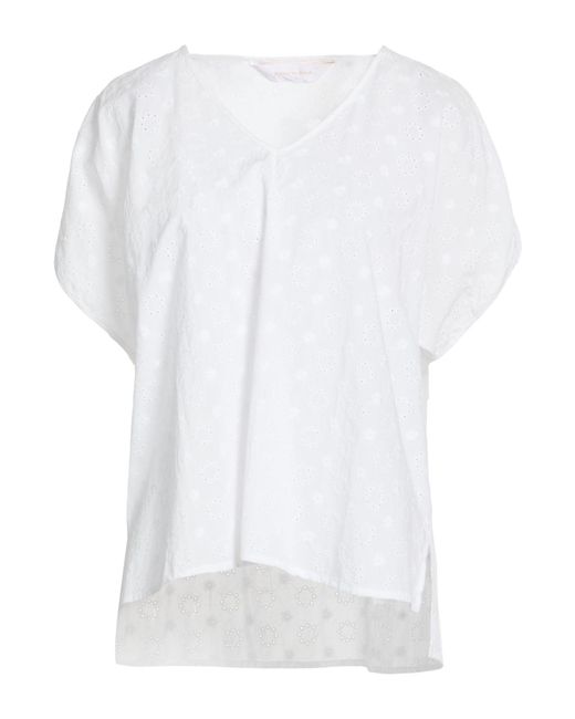 Robert Friedman White Tops