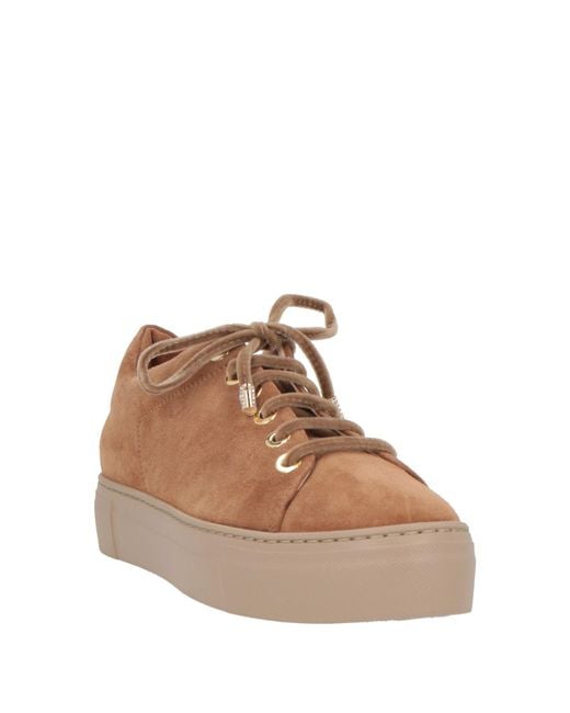 Agl Attilio Giusti Leombruni Brown Sneakers Leather